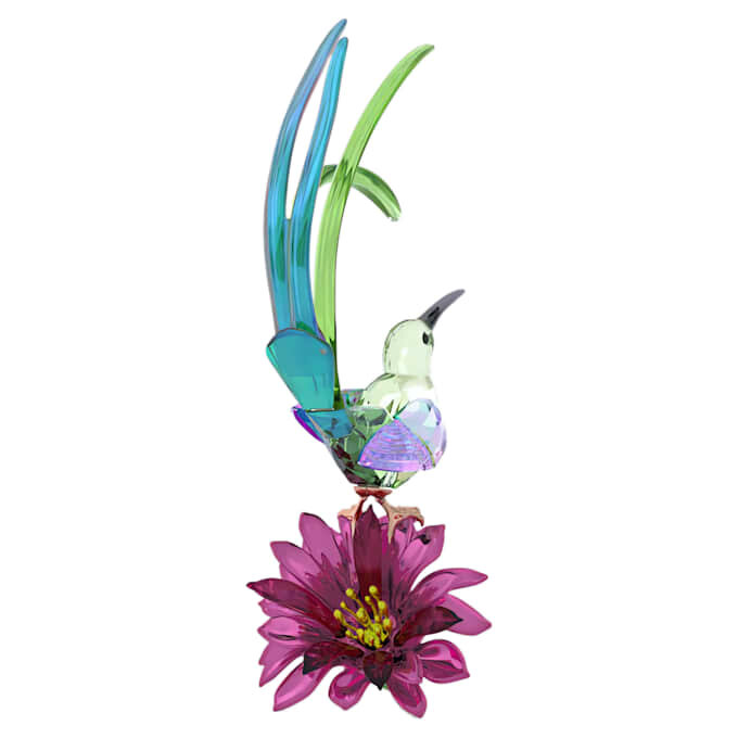 Pájaro azucarero y flor de cactus de Idyllia Pájaro azucarero y flor de cactus de Idyllia