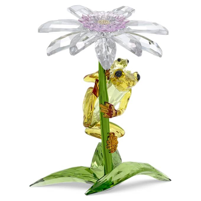 Ranas y flores de Idyllia Ranas y flores de Idyllia