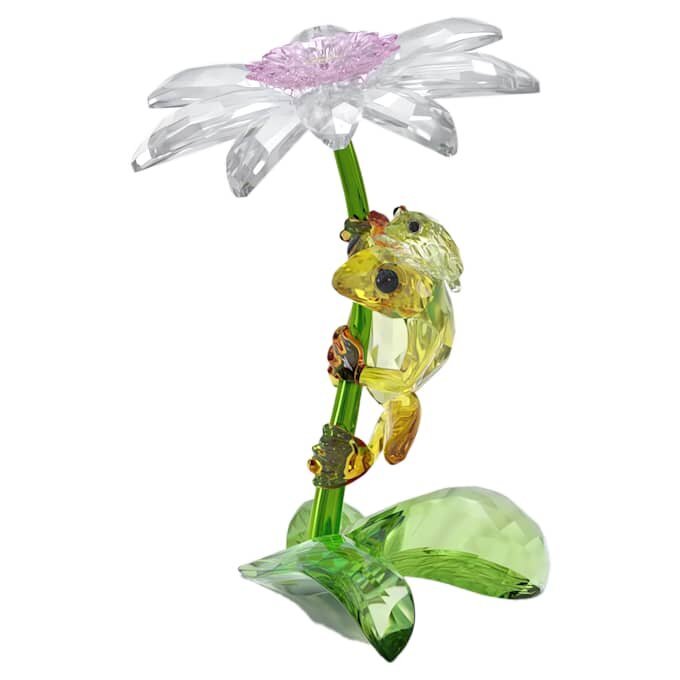 Ranas y flores de Idyllia Ranas y flores de Idyllia