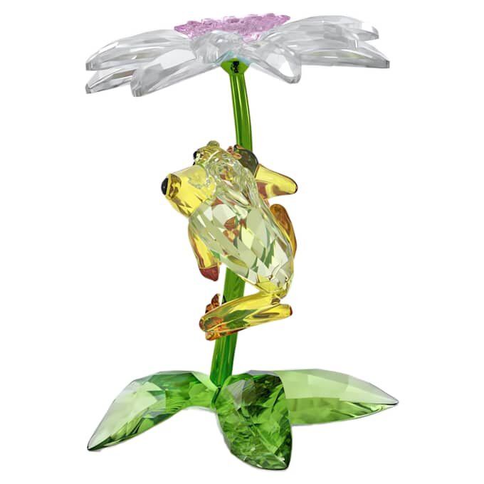 Ranas y flores de Idyllia Ranas y flores de Idyllia